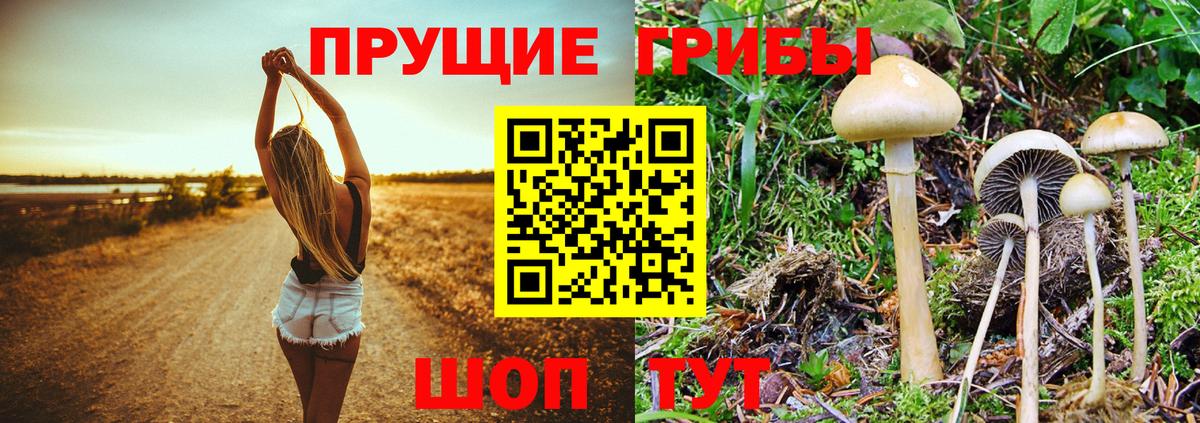 Галлюциногенные грибы GOLDEN TEACHER Тулун