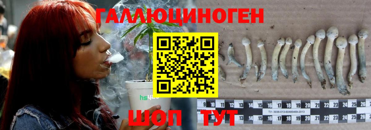 Псилоцибиновые грибы Psilocybine cubensis  Вход с VPN  Тулун 